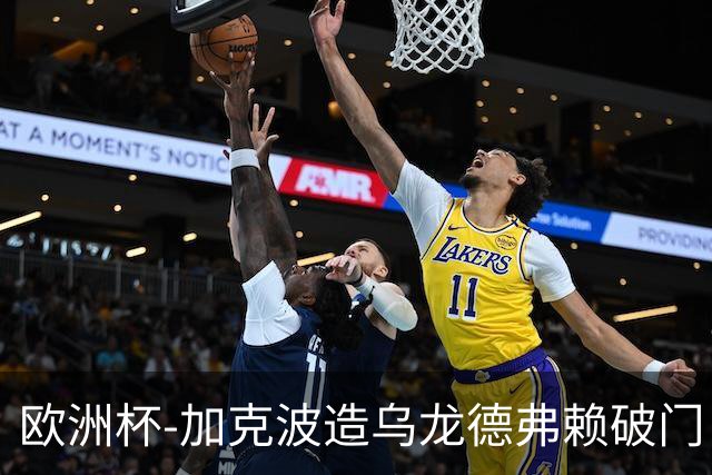 欧洲杯-加克波造乌龙德弗赖破门 荷兰2-1土耳其